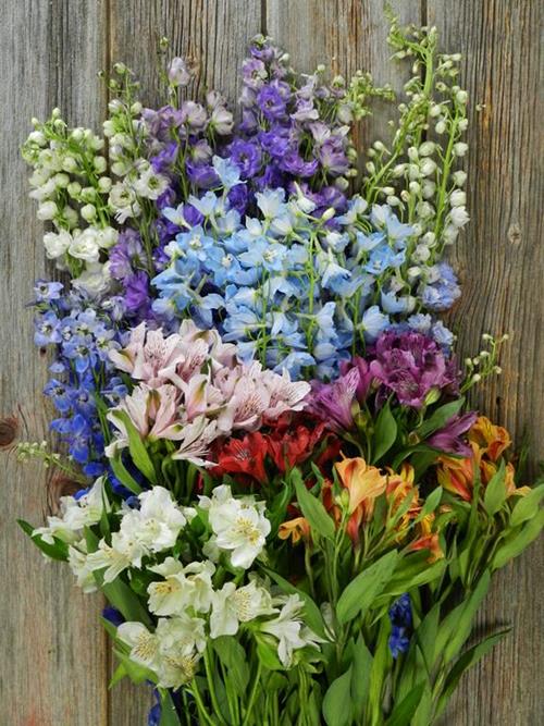 SUPER ALSTROMERIA AND DELPHINIUM COLLECTION COMBO BOX